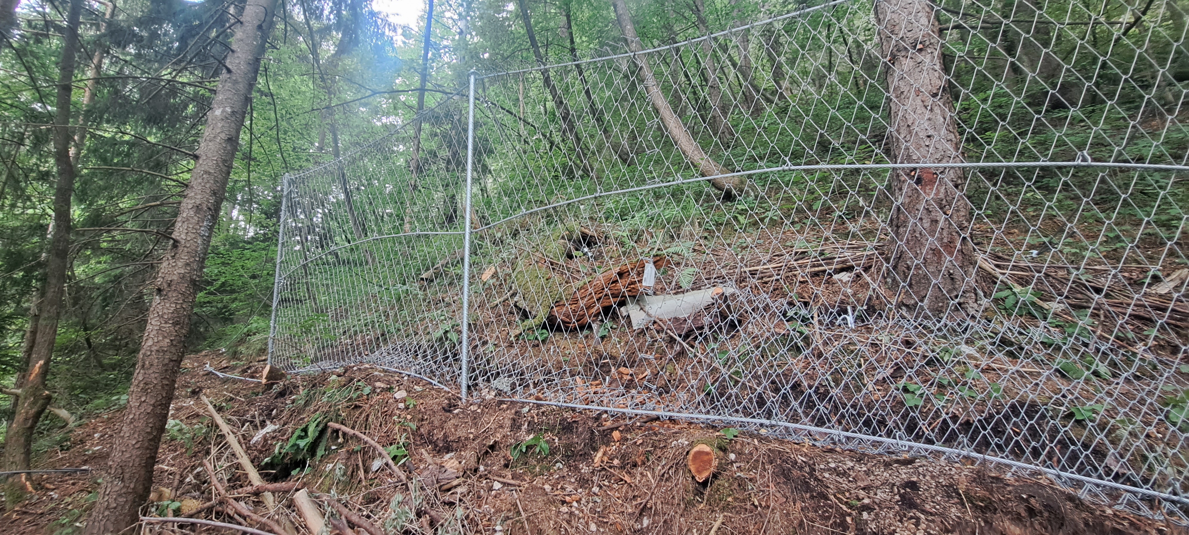 Palisada pod Grančiščem v Mojstrani